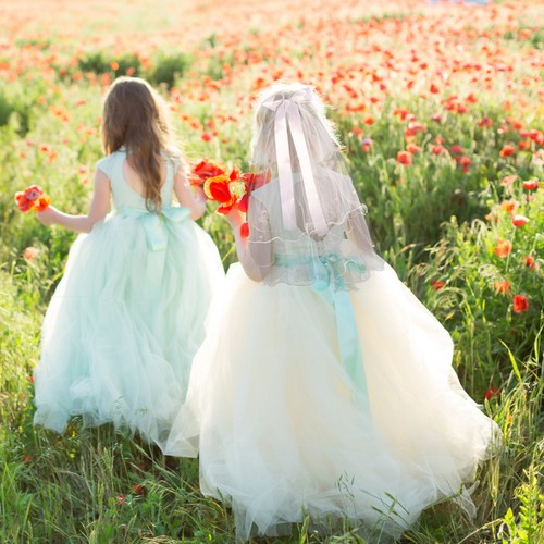 Wedding veil for - wedding, bride
