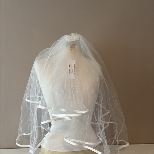 Bride hen night veil - hen,
