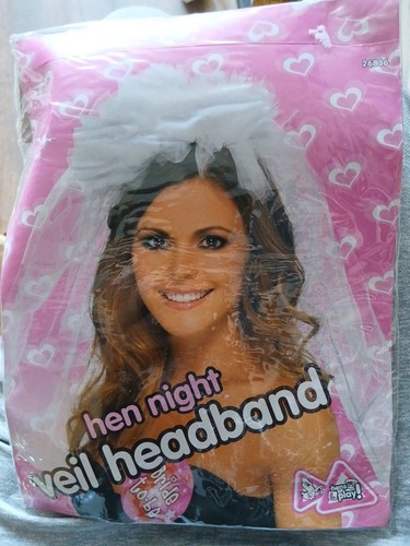 Bride veil net headdress - net,