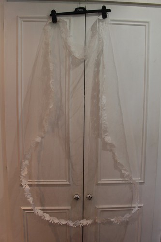 Brides veil
