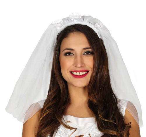 Bride veil fancy dress - dress, hen